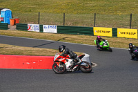 enduro-digital-images;event-digital-images;eventdigitalimages;mallory-park;mallory-park-photographs;mallory-park-trackday;mallory-park-trackday-photographs;no-limits-trackdays;peter-wileman-photography;racing-digital-images;trackday-digital-images;trackday-photos